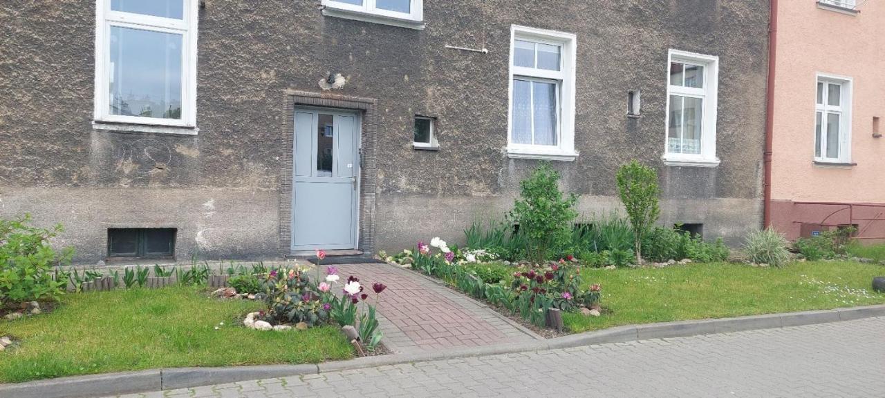 Apartament W Centrum Ныса Экстерьер фото